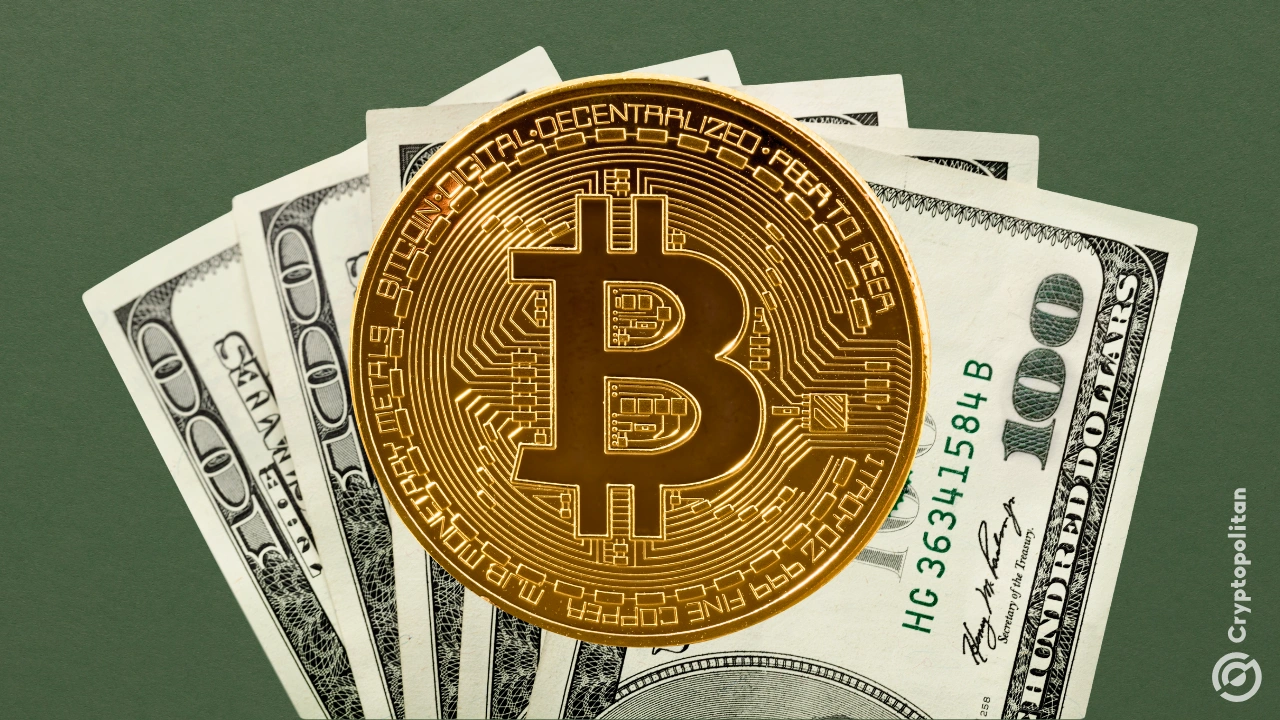 BTC ETF机构持有人在过去11个月中激增54.5倍