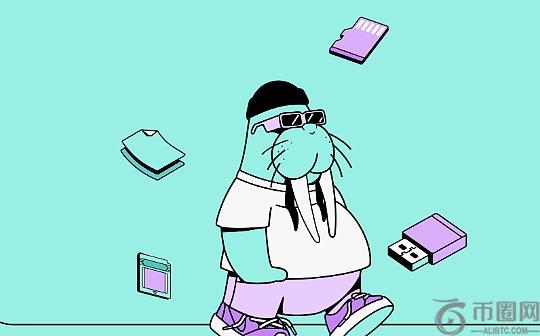 一文看懂Walrus与现有存储协议有何差异