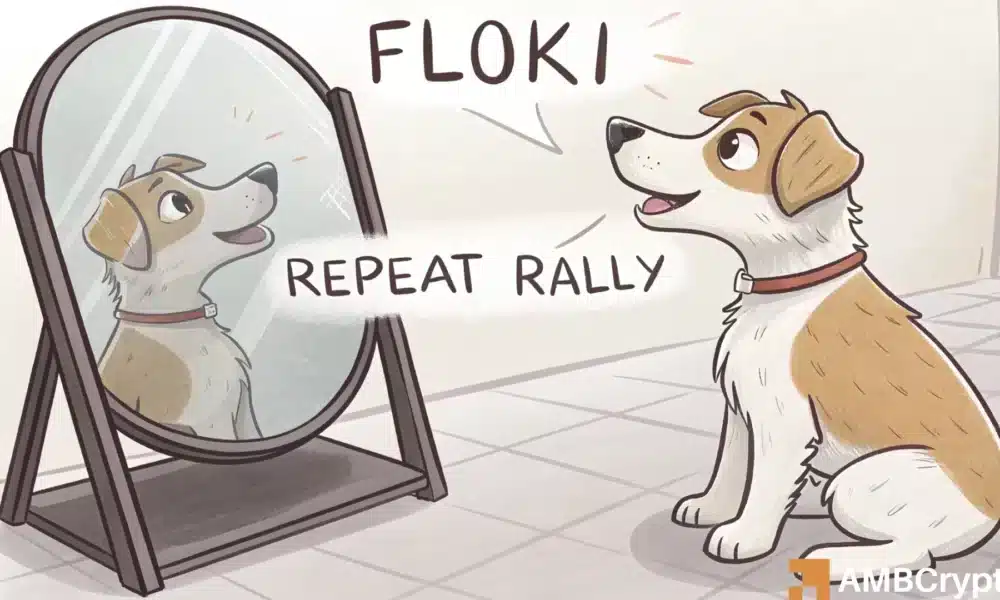 Floki - Memecoin即将到来的2024年风格的突破？