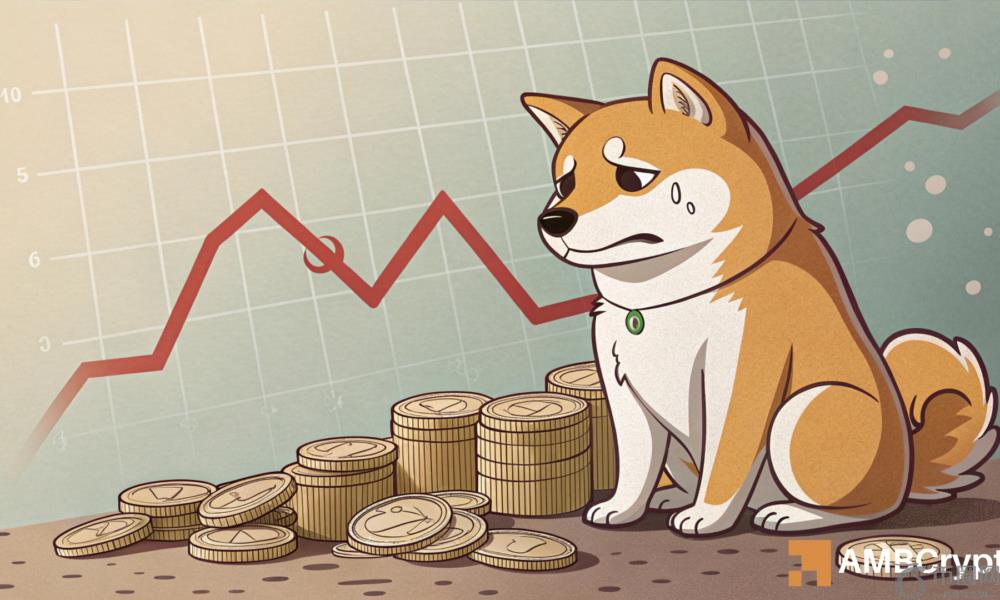 Shiba Inu可以克服集会的这一挑战吗？评估…