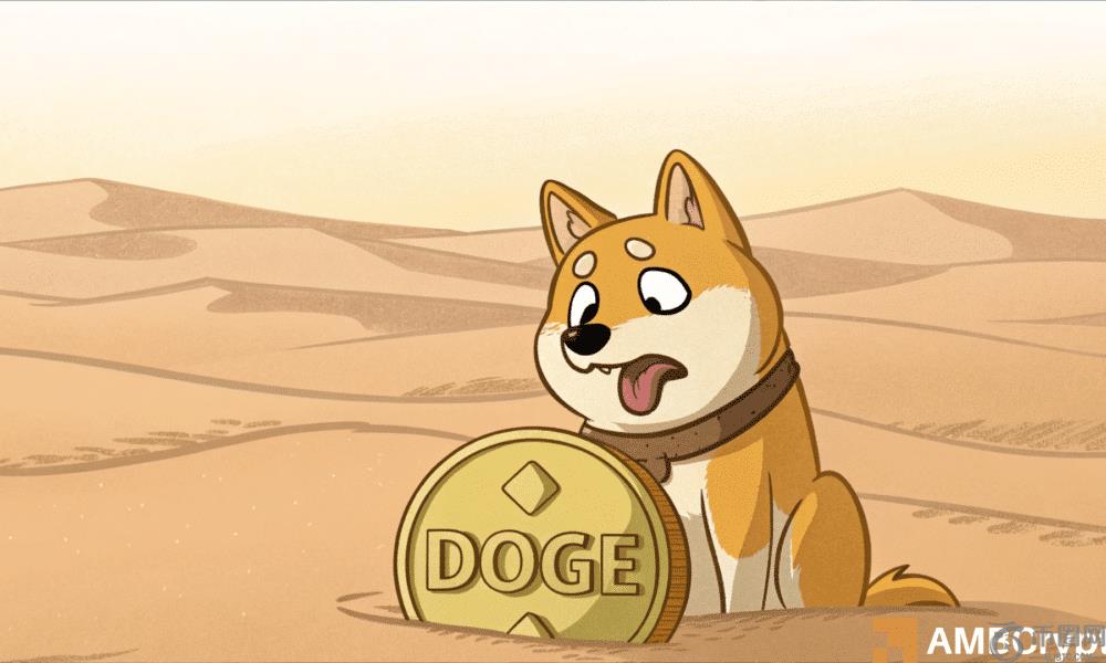 Dogecoin的下降：Doge可以从95％的活动下降中恢复过来吗？