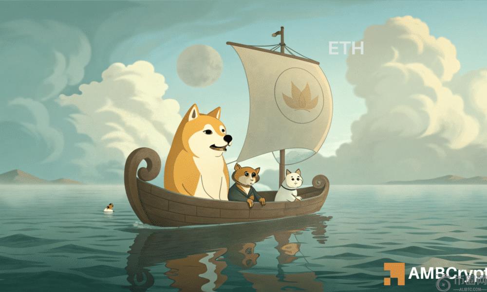 Dogecoin - 停滞不前的鲸鱼活动如何影响其价格