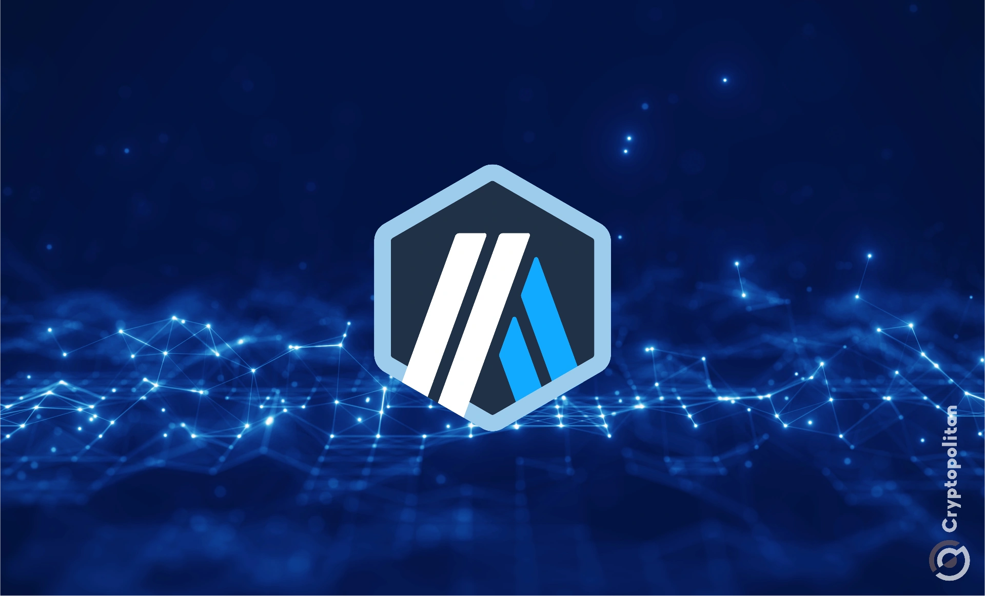 仲裁的ETH投资提案面临反弹，因为代表呼吁支持本地协议