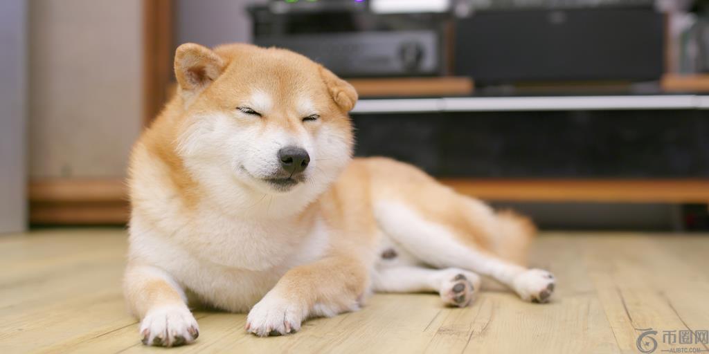 Dogecoin潜入Solana和以太坊模因硬币崩溃