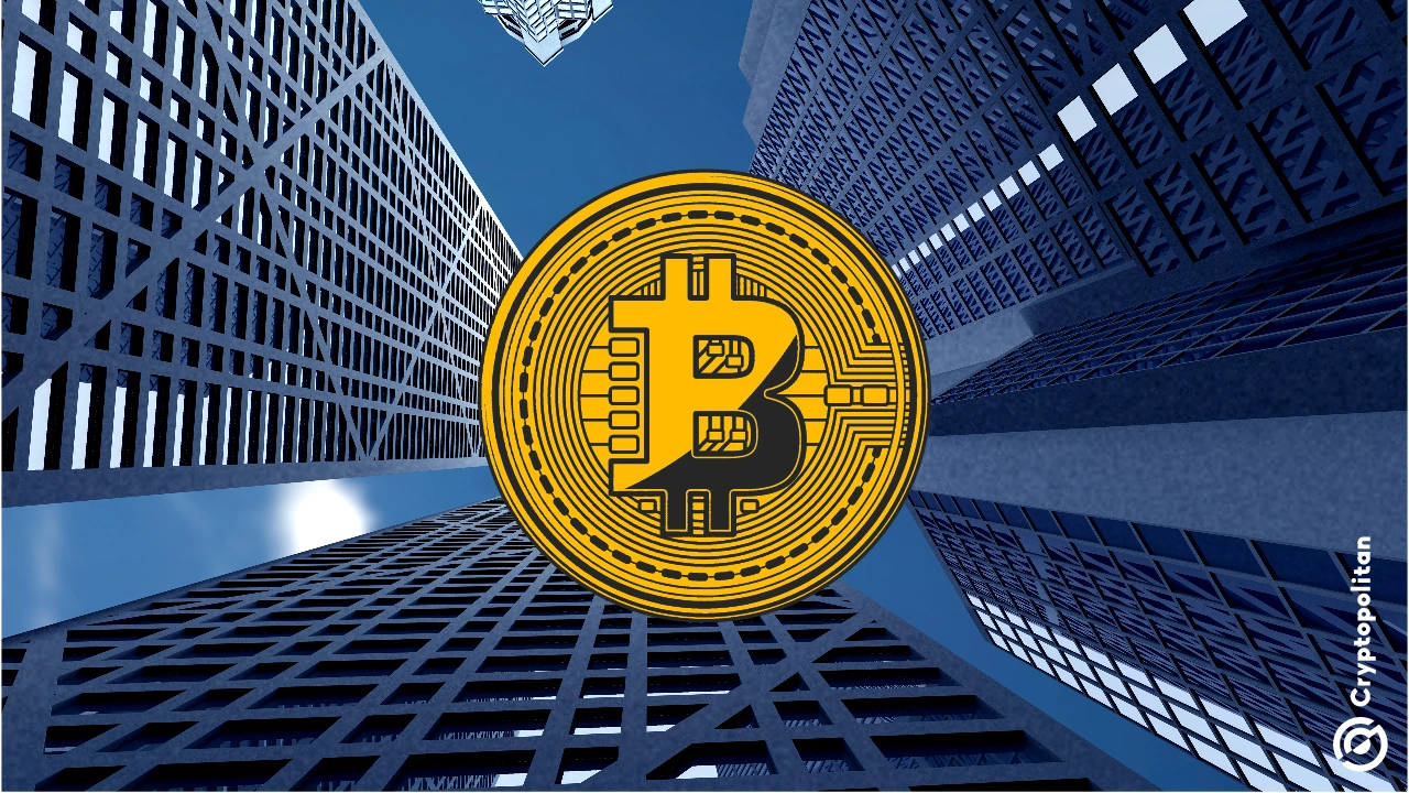 自2023年以来，持有比特币的公司飙升了139％，但采用仍低于1％