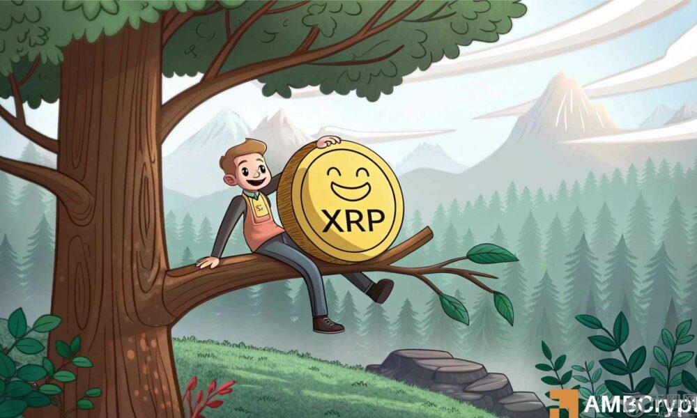 XRP流出达到$ 76万美元 - 这会将Altcoin推向3.20美元吗？