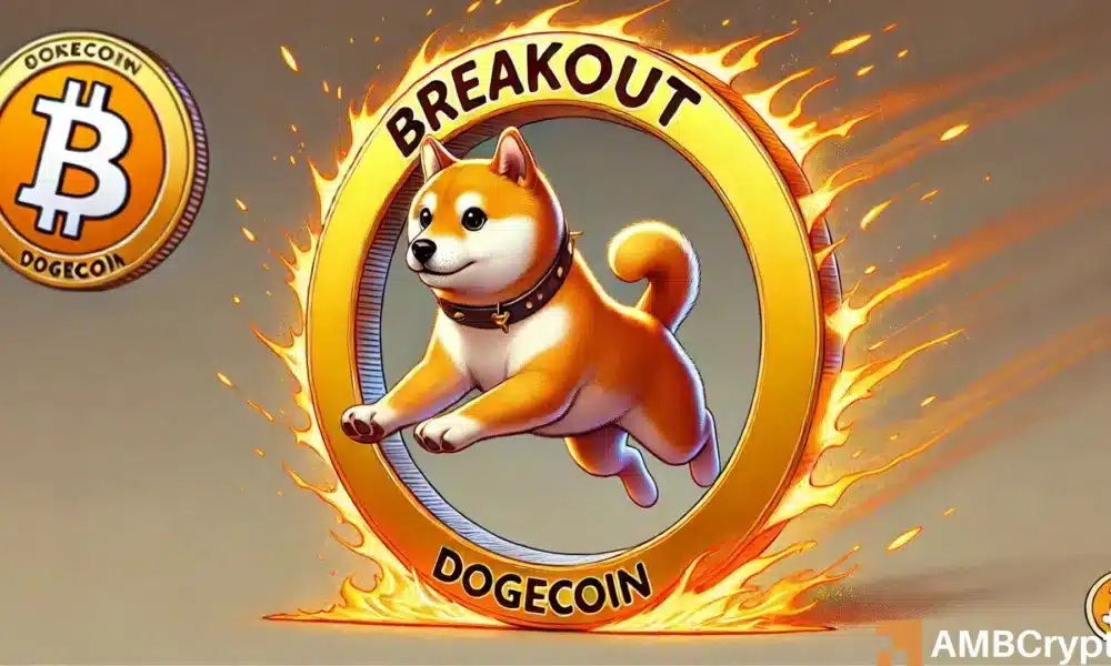 Dogecoin仍然低于峰值的47％ - 正确的时间购买Doge的蘸酱？