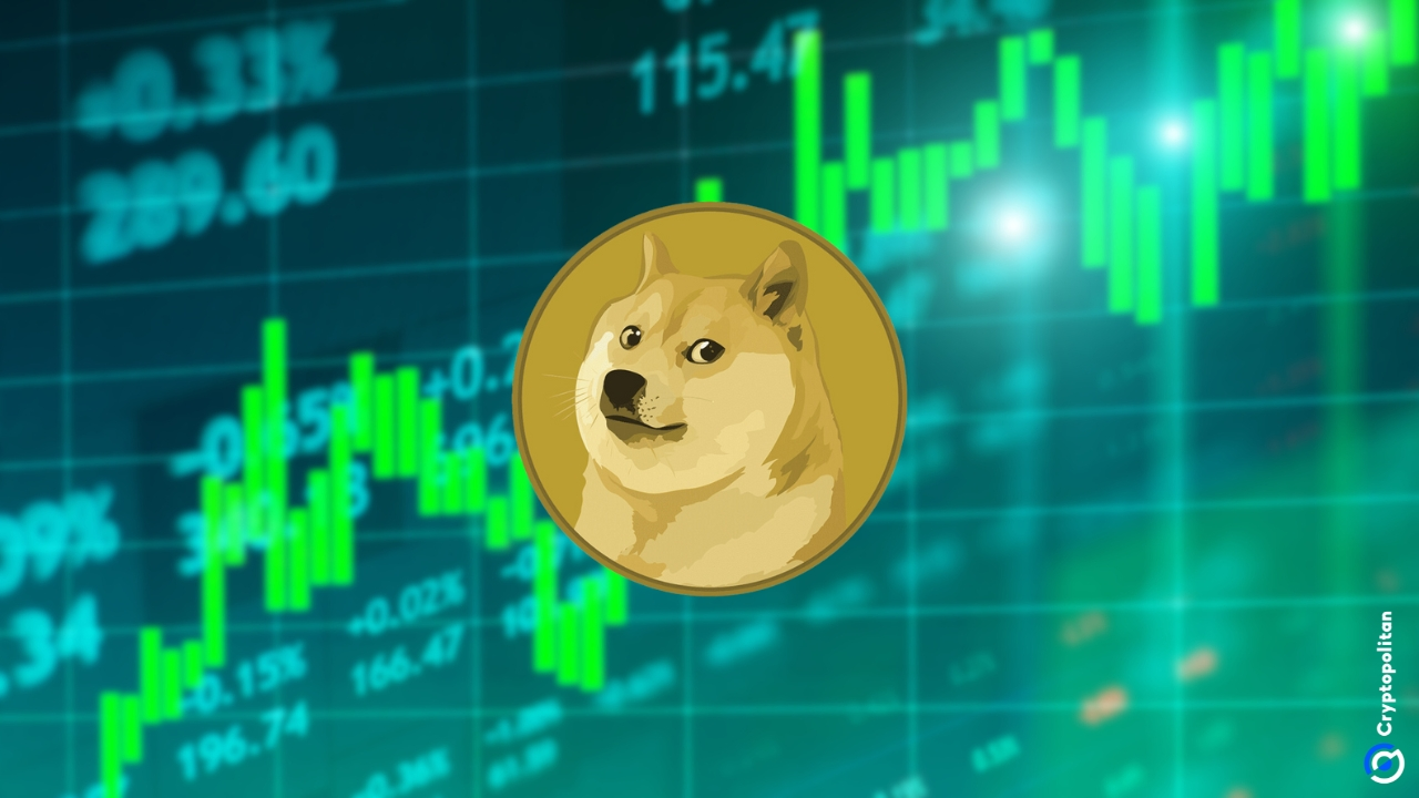 Doge价格在现货ETF乐观的背面飙升