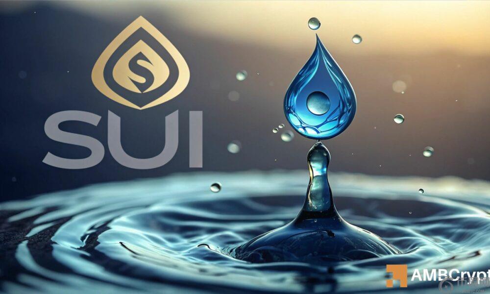 SUI的跌至2美元的跌幅如何才能在图表上进行集会？