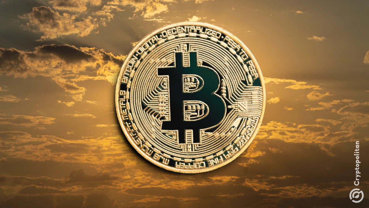 10倍研究：仅44％的美国BTC ETF用于长期持有