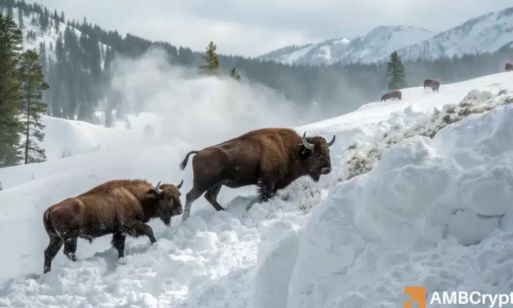 雪崩[avax]眼睛$ 53随着看涨势头的建立 - 现在是什么？