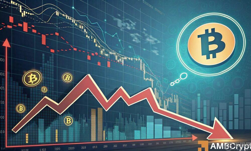 为什么比特币的浸入主动地址可以表明价格波动