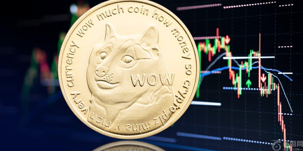 在垃圾场中：狗狗棚大部分选举后收益