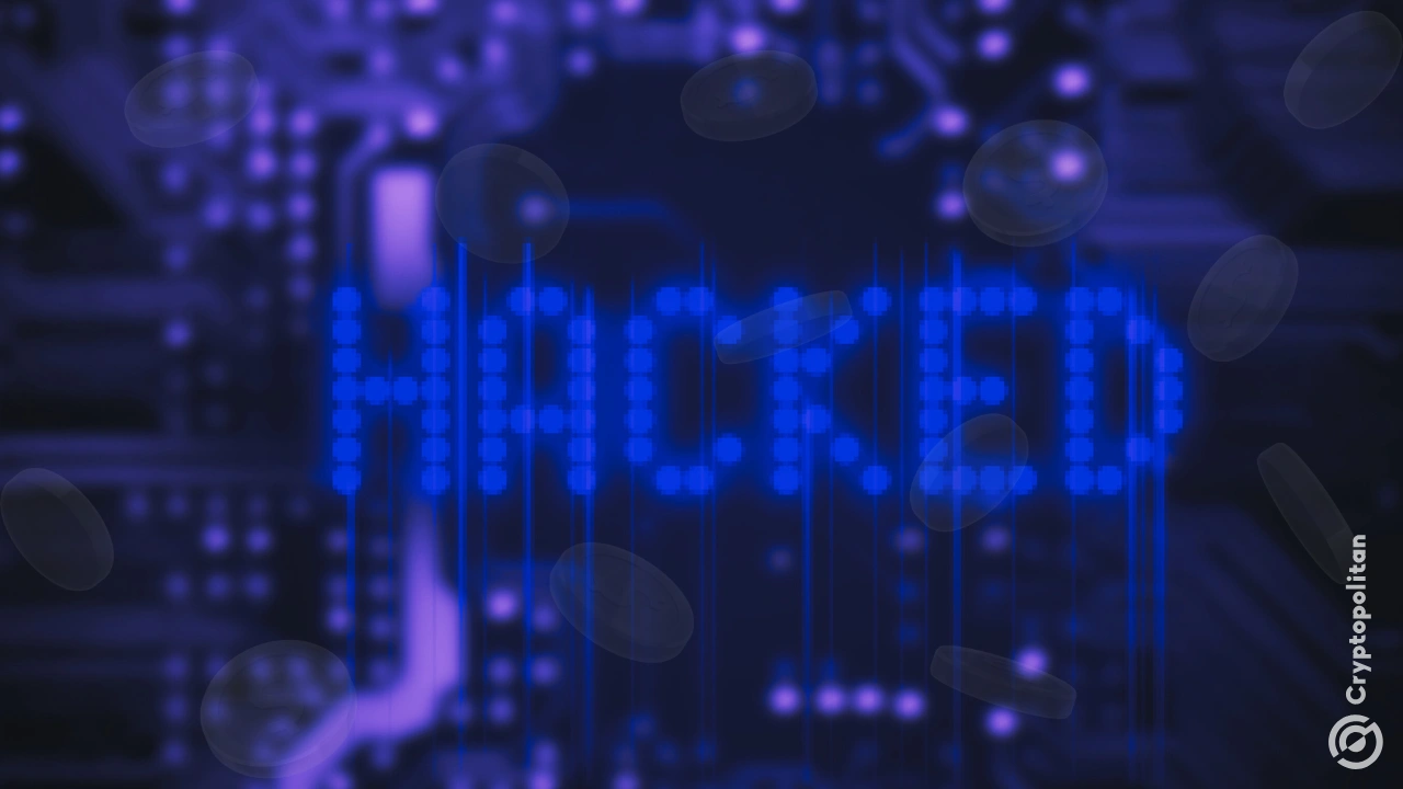 伊丽莎（Eliza）的创始人在黑客造成投资者消失之后发表讲话