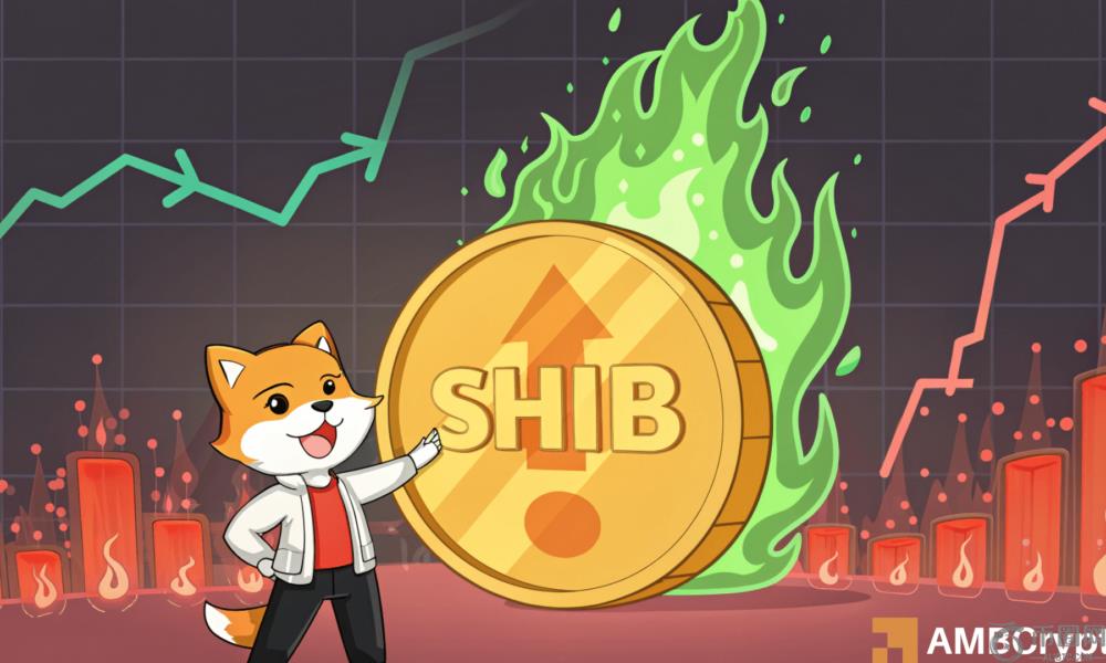 Shiba Inu：580％的燃烧率激增如何帮助湿皮持有人