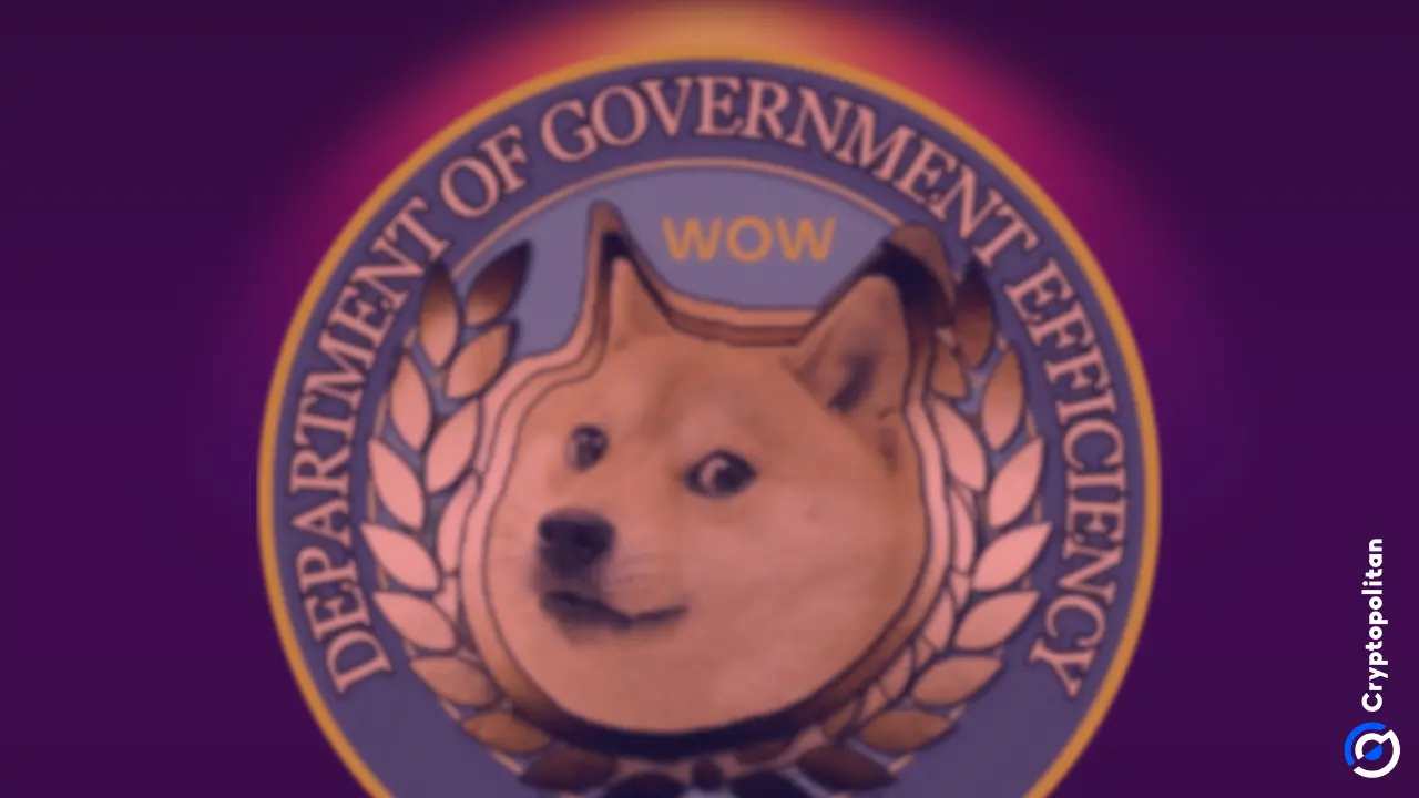 D.O.G.E的近一半的合同削减了省略成本的努力毫无意义