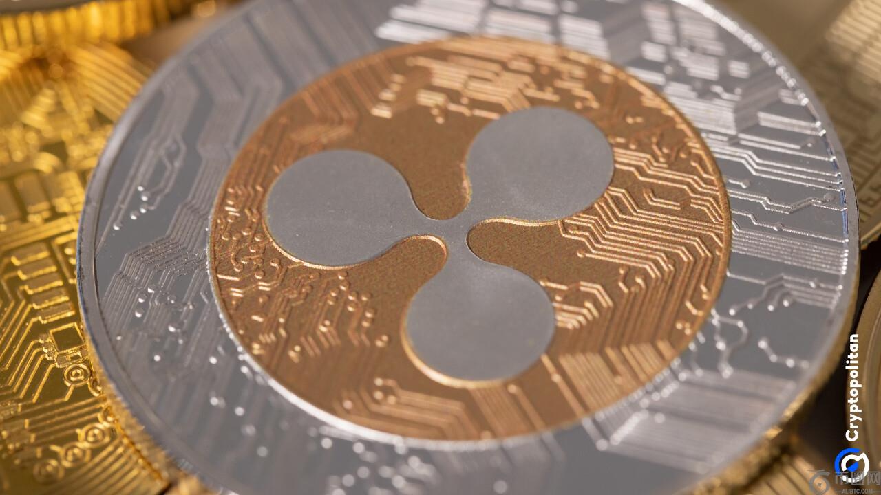 XRP Ledger的路线图专注于机构Defi增长