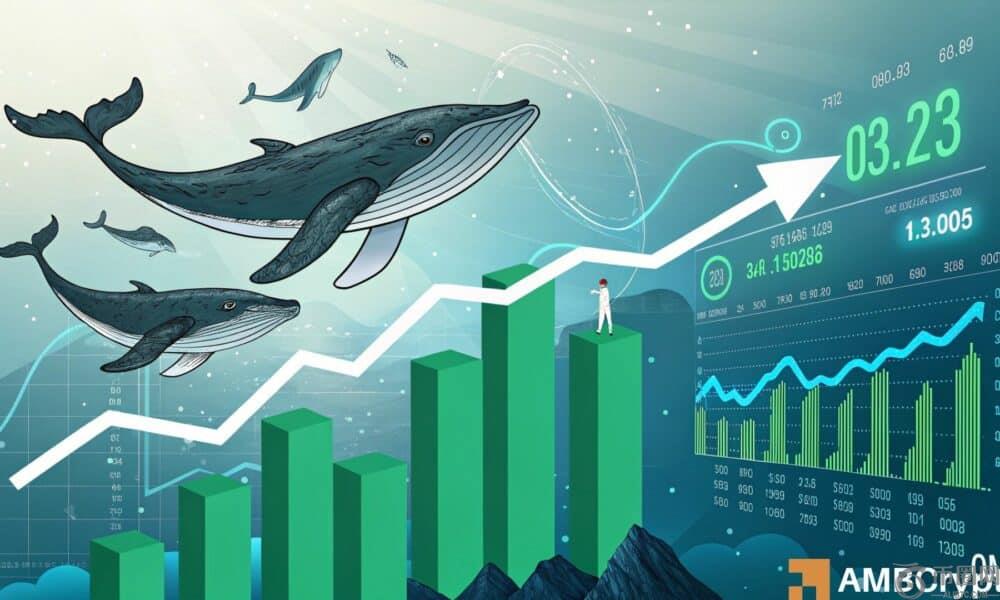 咒语在30天内爆炸了103％：Om可以打另一个ATH吗？