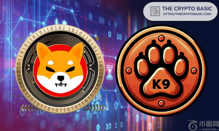 Google Awards Shiba INU合作伙伴$ 200K云服务赠款