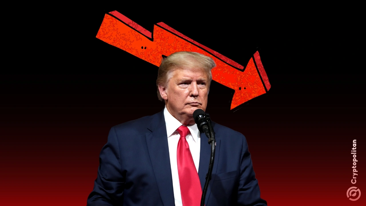 当特朗普的关税引发恐慌时，加密货币市场崩溃