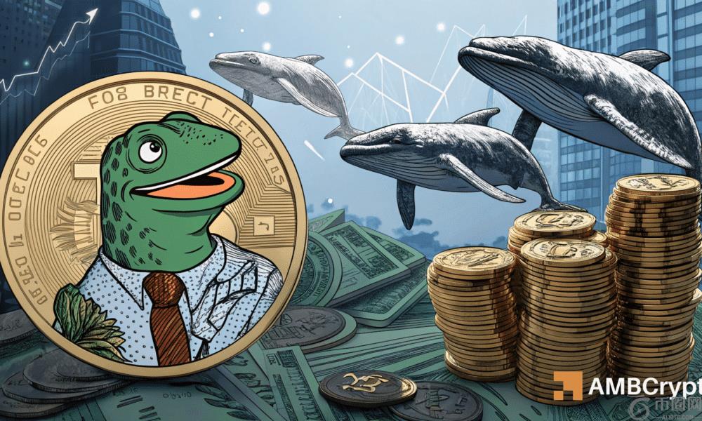 Pepe鲸鱼在以前的级别上购买：如果历史重复……