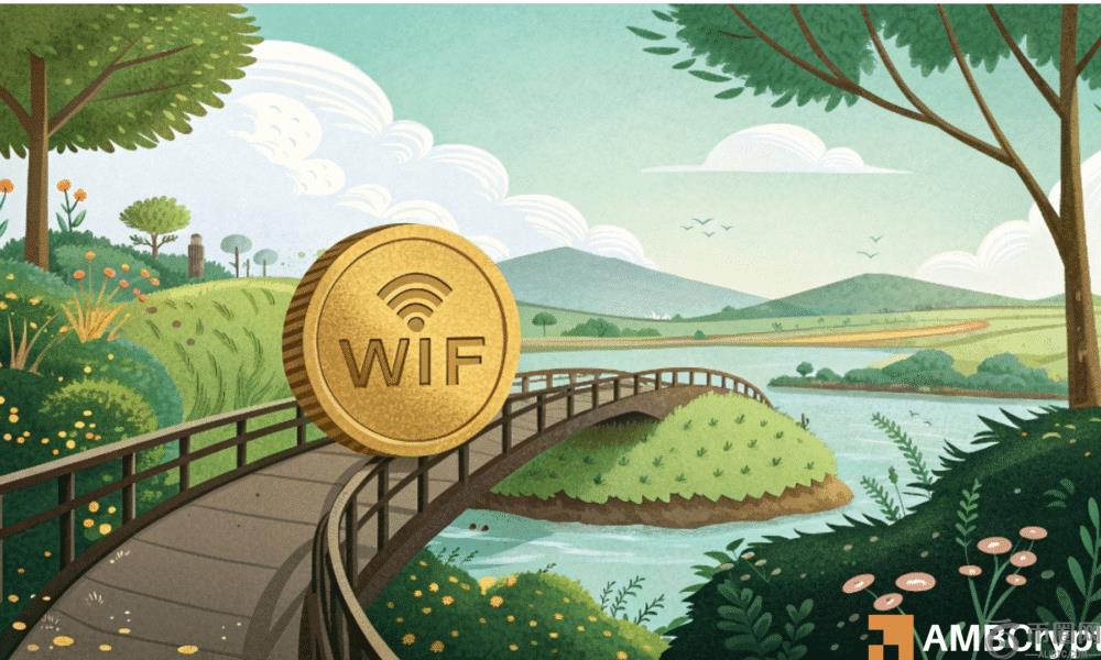 Dogwifhat：Wif的下降趋势已经过去了吗？这个指标建议…