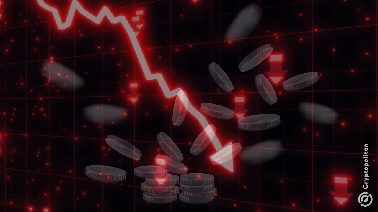 天秤座损失最大的鲸鱼获得了500万美元的赔偿金