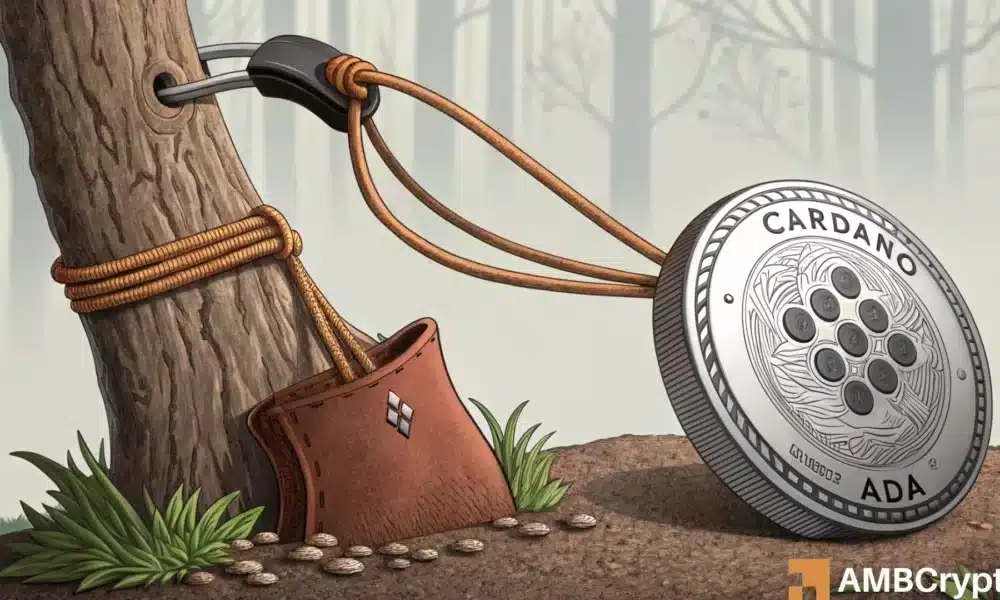 Cardano - 评估ADA重复其2021周期至$ 3.10的几率