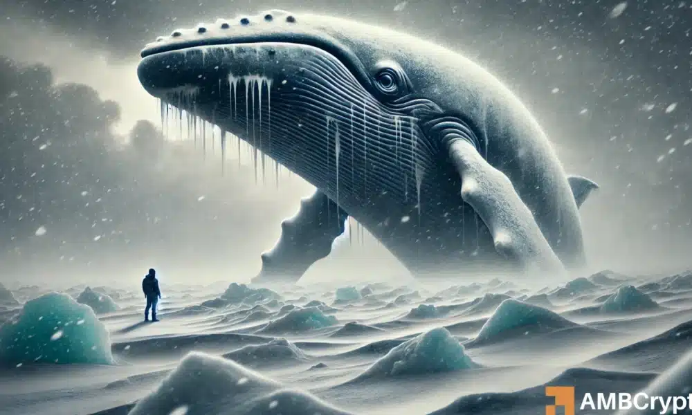 雪崩鲸鱼活动的下降 - 这将如何影响Avax的价格？