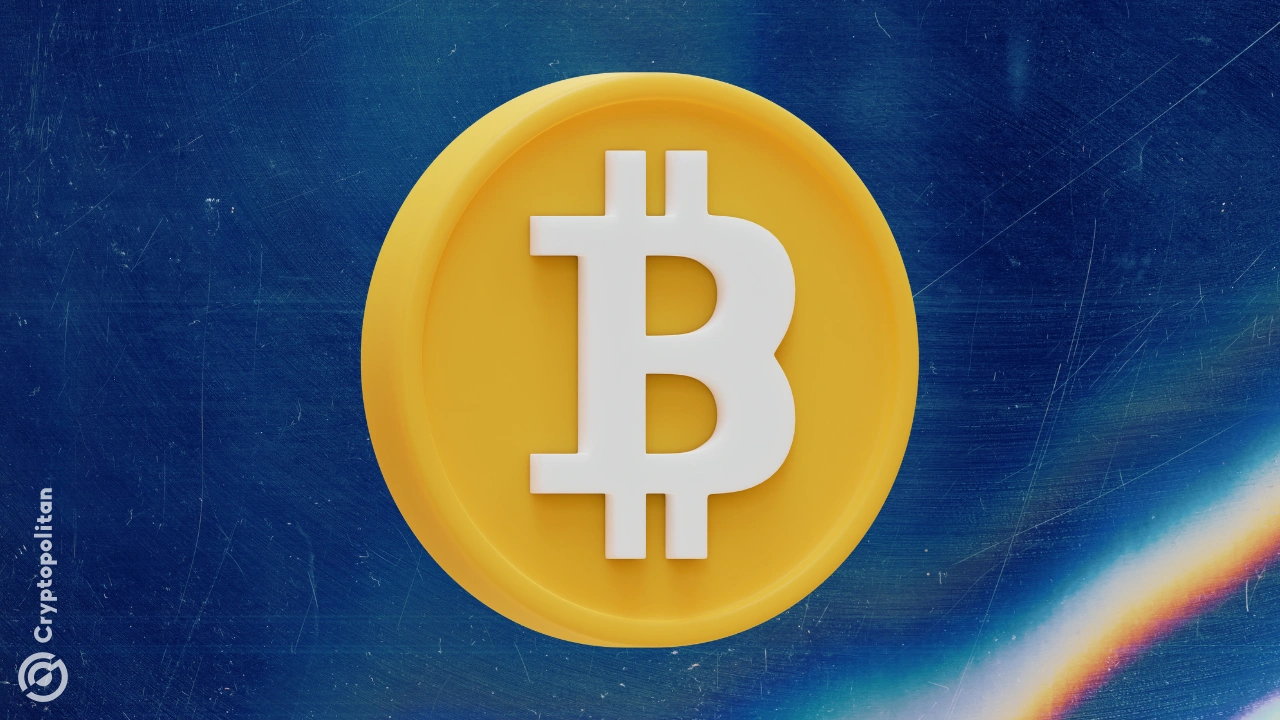 随着模因与波动的斗争，比特币的统治地位在上升