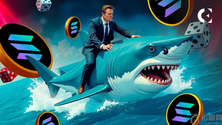 Solana鲸鱼在价格下降：将选项尖峰放在代币解锁之前