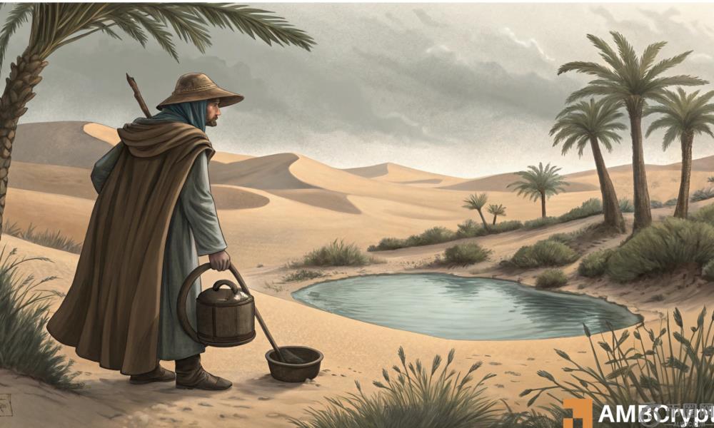 检查Ton的网络 - 短期还是长期建立？