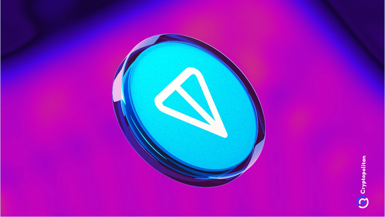 NFT上的吨活动从Telegram Gifts获得了提升