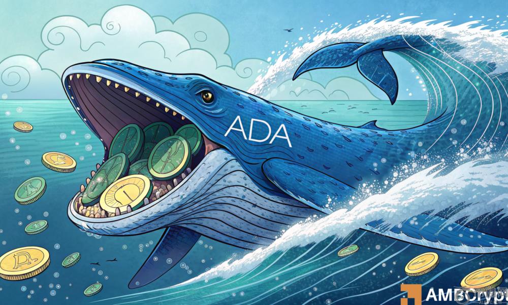 Cardano：70m Ada在96小时内移动 - 影响价格？