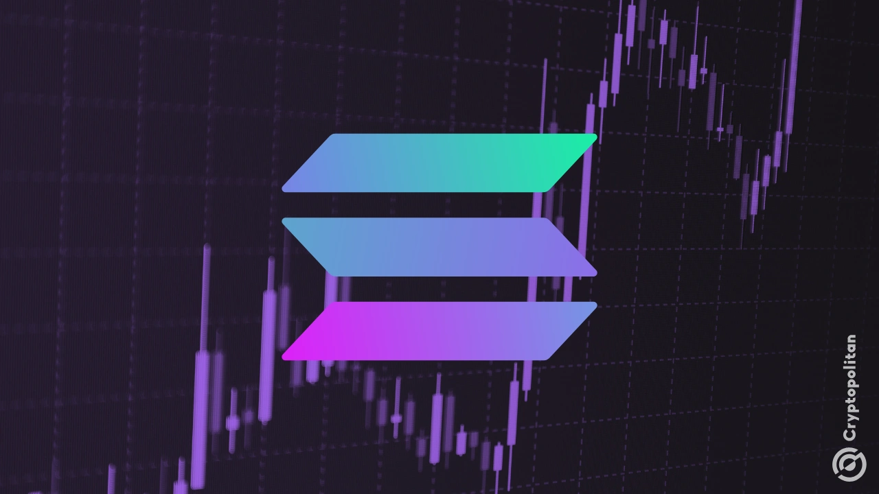 鲸鱼更新Solana（Sol）积累，价格弹起低点