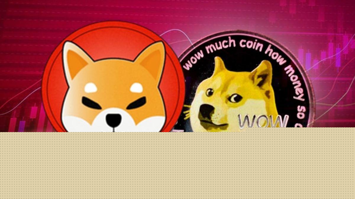 Dogecoin或Shiba Inu：哪个会更快地恢复？