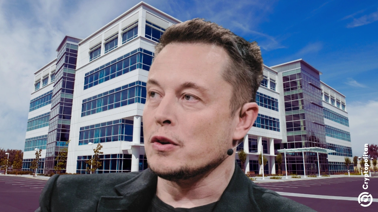 当特斯拉的股票崩溃超过40％时，投资者打开埃隆·马斯克（Elon Musk）