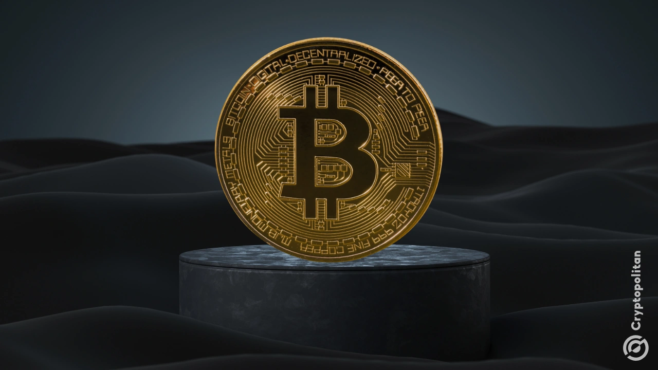 BlackRock将1-2％的分配投资组合放入其比特币ETF中