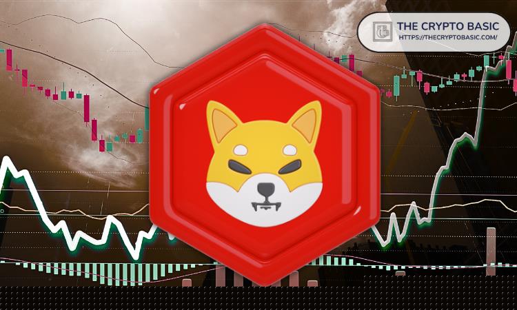 Shiba Inu团队鼓励投资者，说“ Shib将会成功”