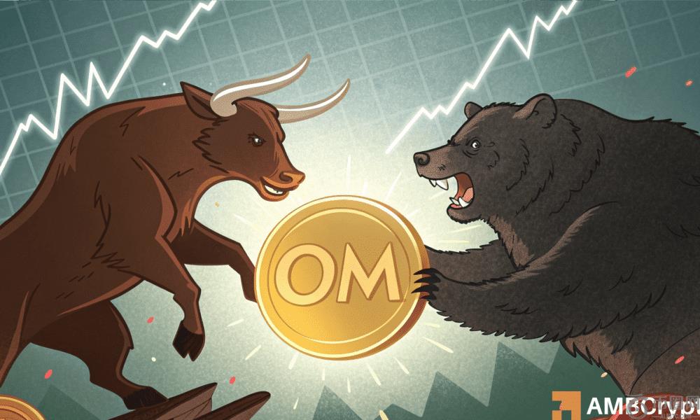 咒语鲸鱼的积累增加，但对OM来说是个好消息吗？