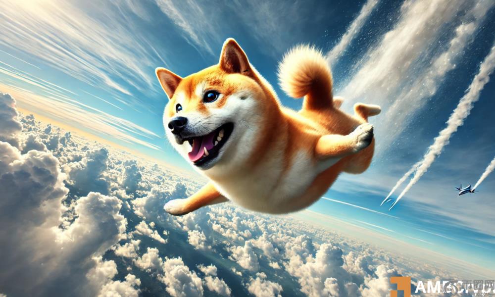 自由落体中的志ba伊努（Shiba Inu） - 什布（Shib）下降的背后是什么？