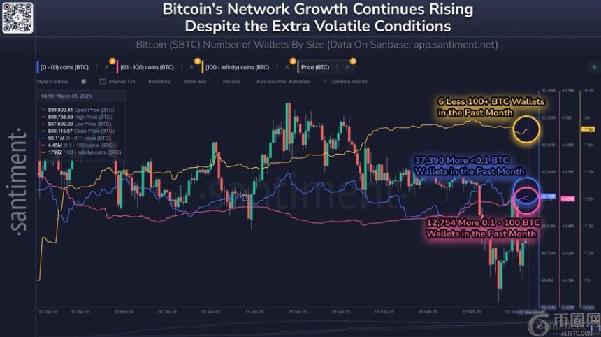 比特币新增5万地址，但市场突破仍需等待