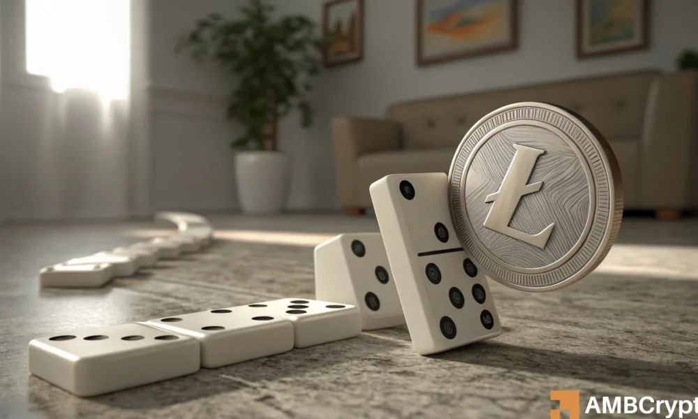 Litecoin的短暂挤压 - 集会还是临时炒作？