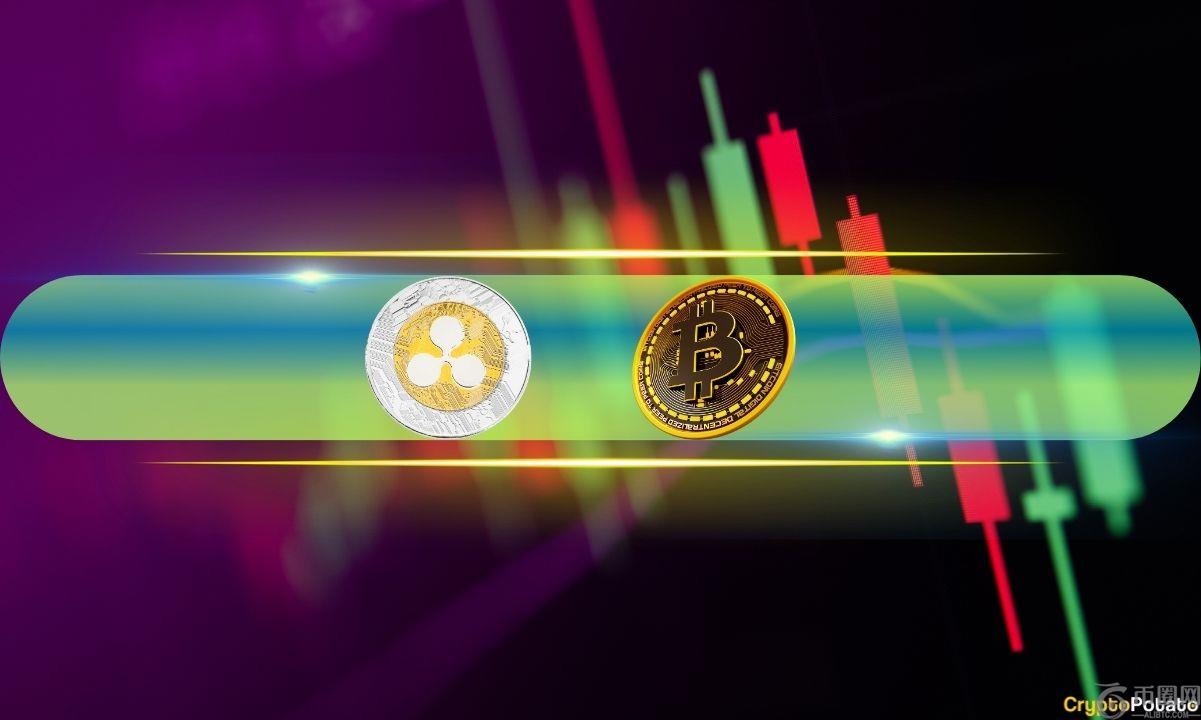 比特币在低于$ 80K的转储后恢复了7000美元，波纹增长了8％（周末观看）