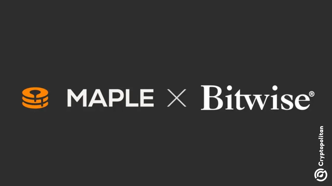 Bitwise通过第一个机构分配给Maple Finance扩展到Defi