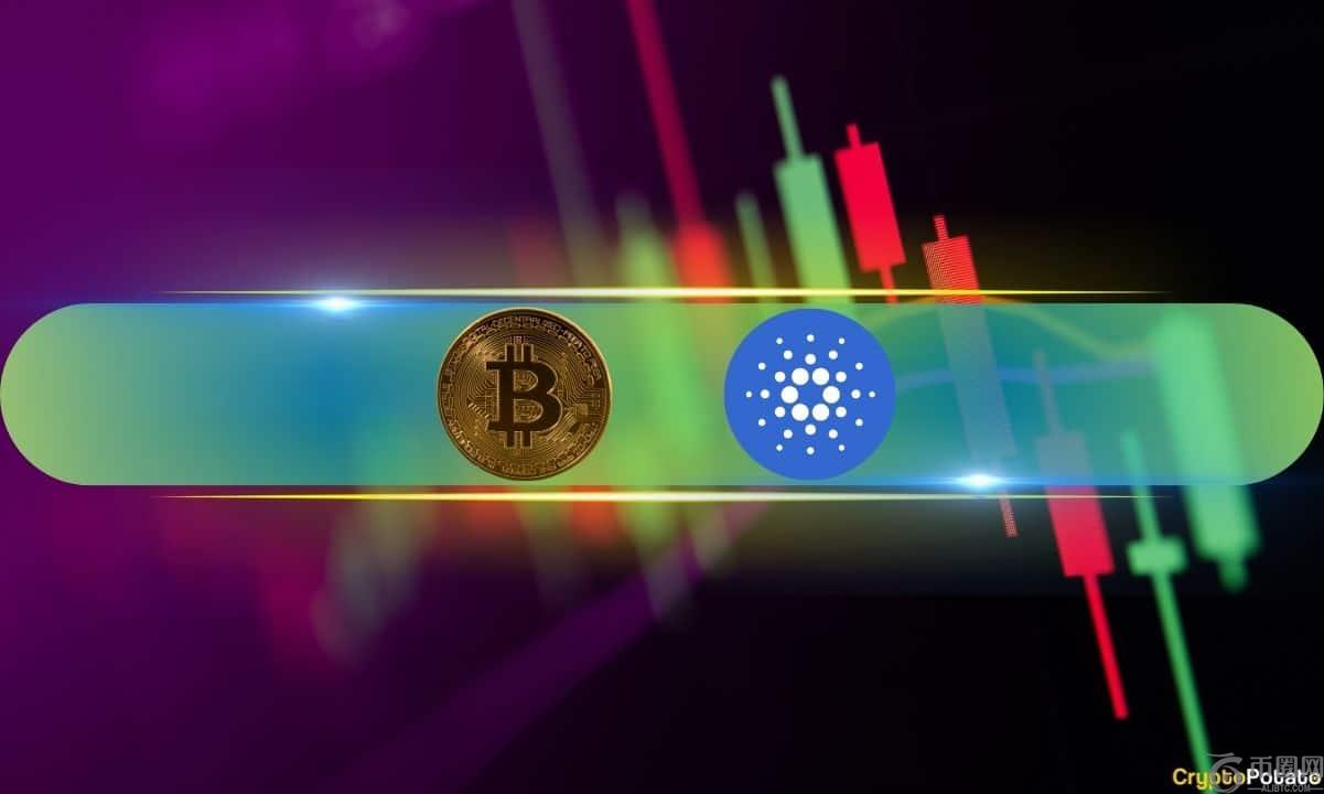 ADA and LINK Steal the Show as BTC Eyes $90K (Market Watch)