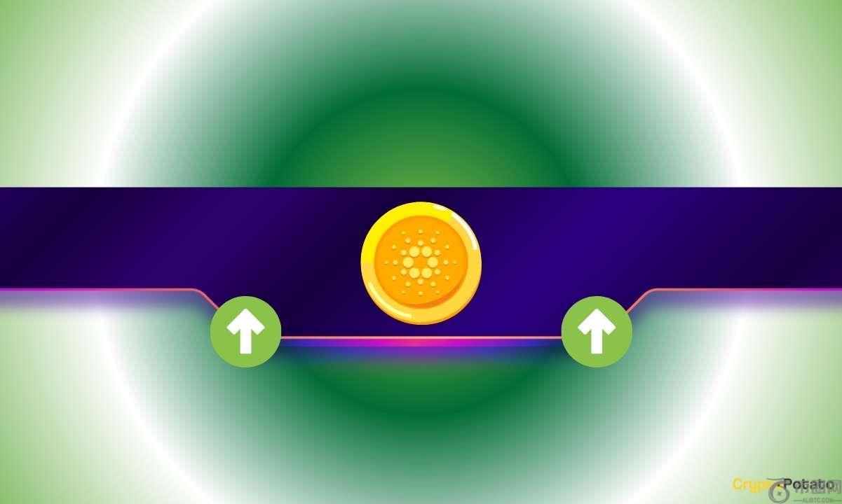 Why is the Cardano (ADA) Price Up Today?