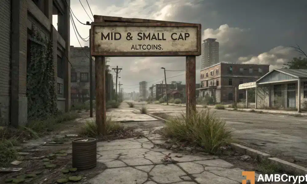 随着比特币优势的增长，为什么较小的山寨币落后