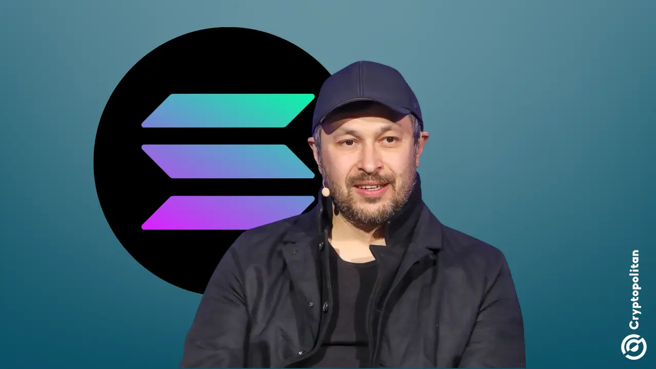 Solana Labs联合创始人Toly反对加密储备，警告它可能破坏权力下放