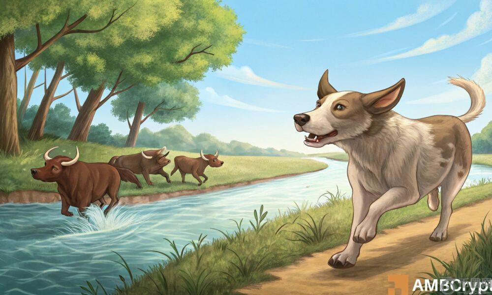 Dogwifhat Eyes $ 1-但这种阻力以Wif的方式依据！